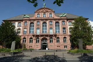 Senckenberg Naturmuseum